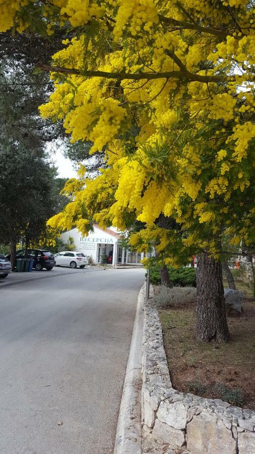 Glamping Beach Soline Biograd Na Moru Dış mekan fotoğraf